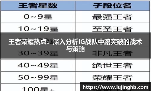 永乐高APP